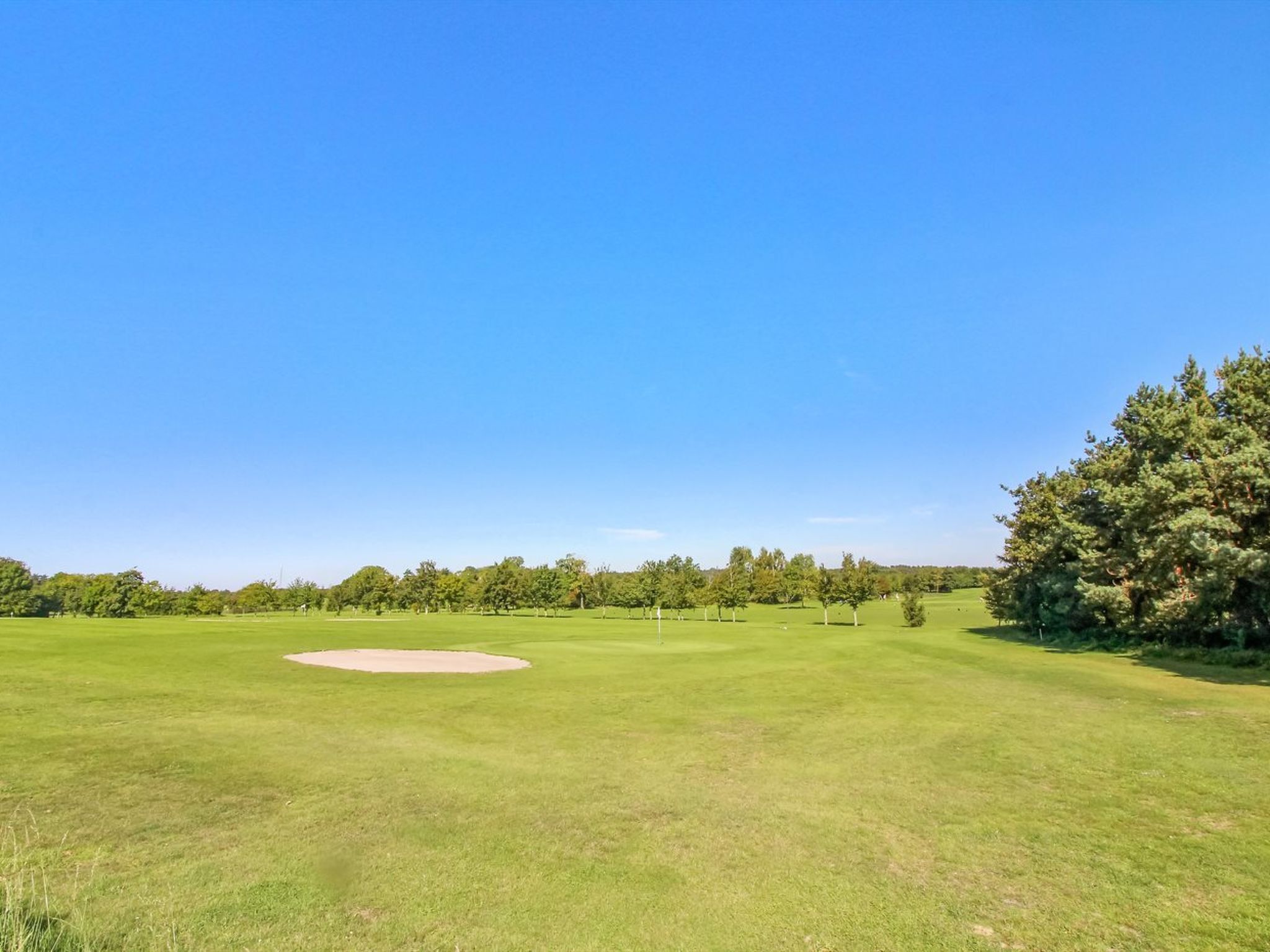 A golf course with a clear sky, a sand bunker, and a dense tree line.