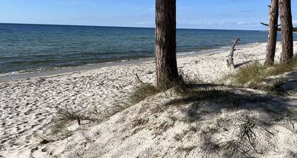 "Micaela" - 450m from the sea by Interhome