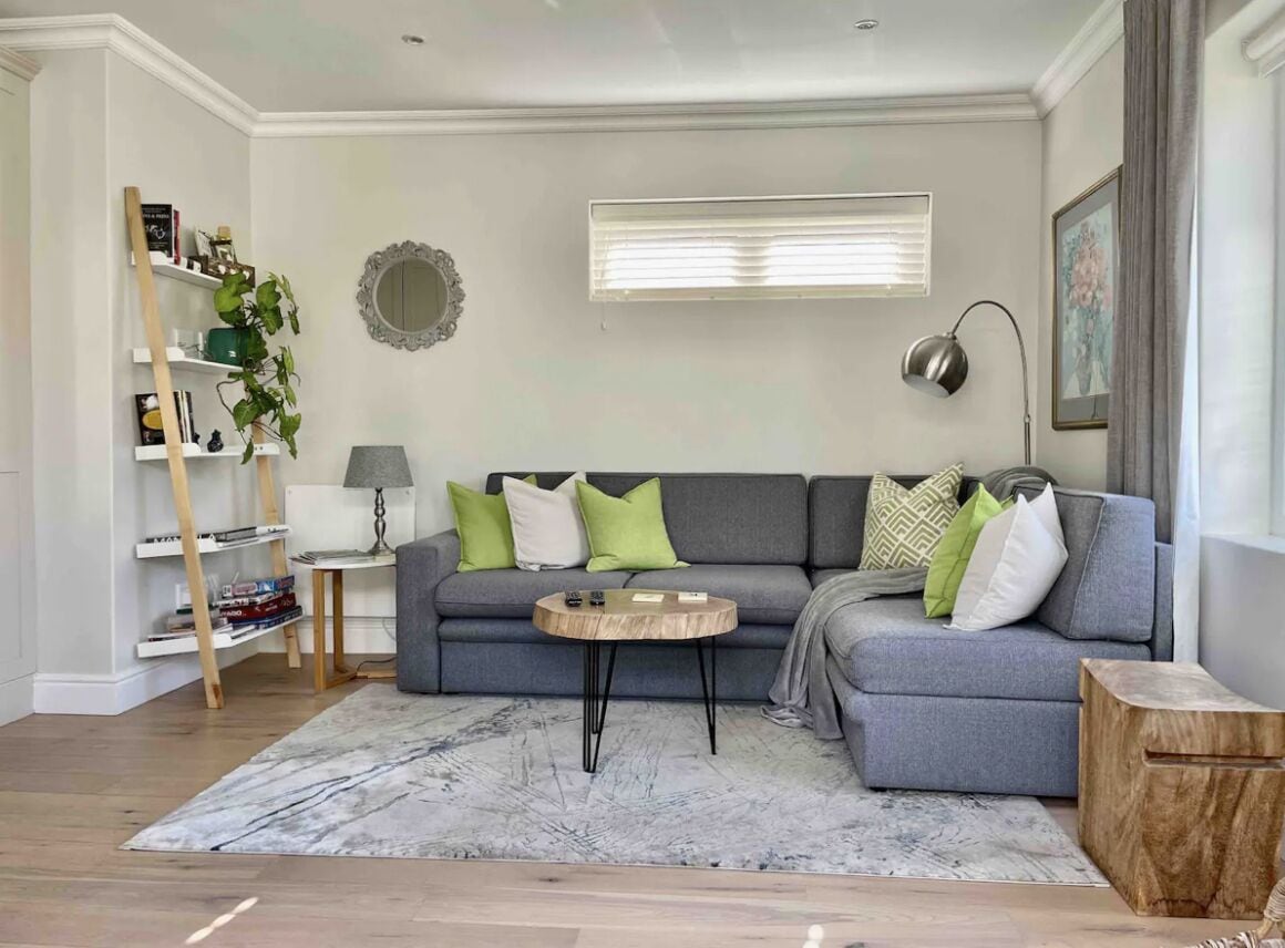 TV, fireplace, books