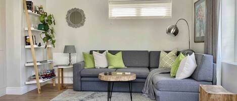 TV, fireplace, books