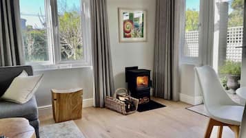 TV, fireplace, books