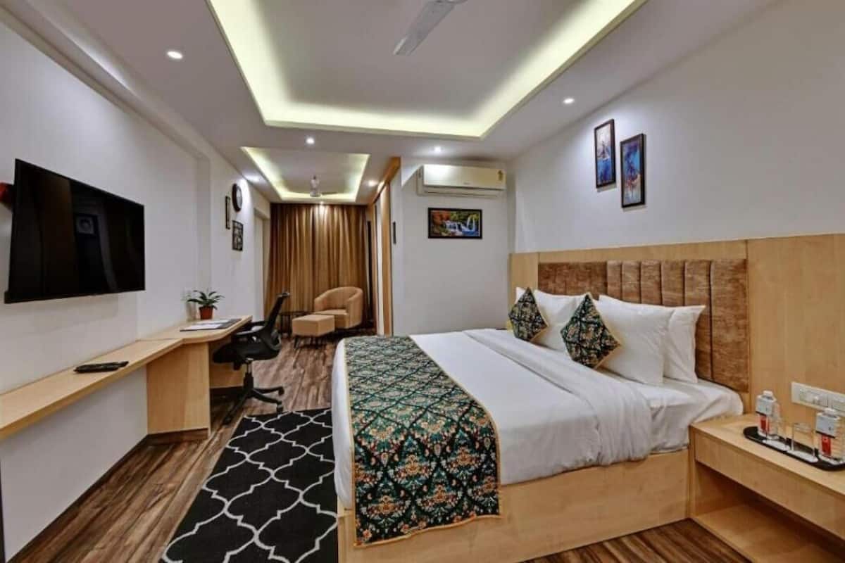 Una habitación de hotel con cama, mesita de noche, televisión, escritorio, silla y una planta pequeña.