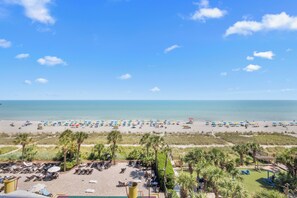 A beach with rows of umbrellas and sun loungers, a lifeguard tower, and palm trees. - Amazing: 5th Floor Oceanfront Two Bedroom (Myrtle Beach)