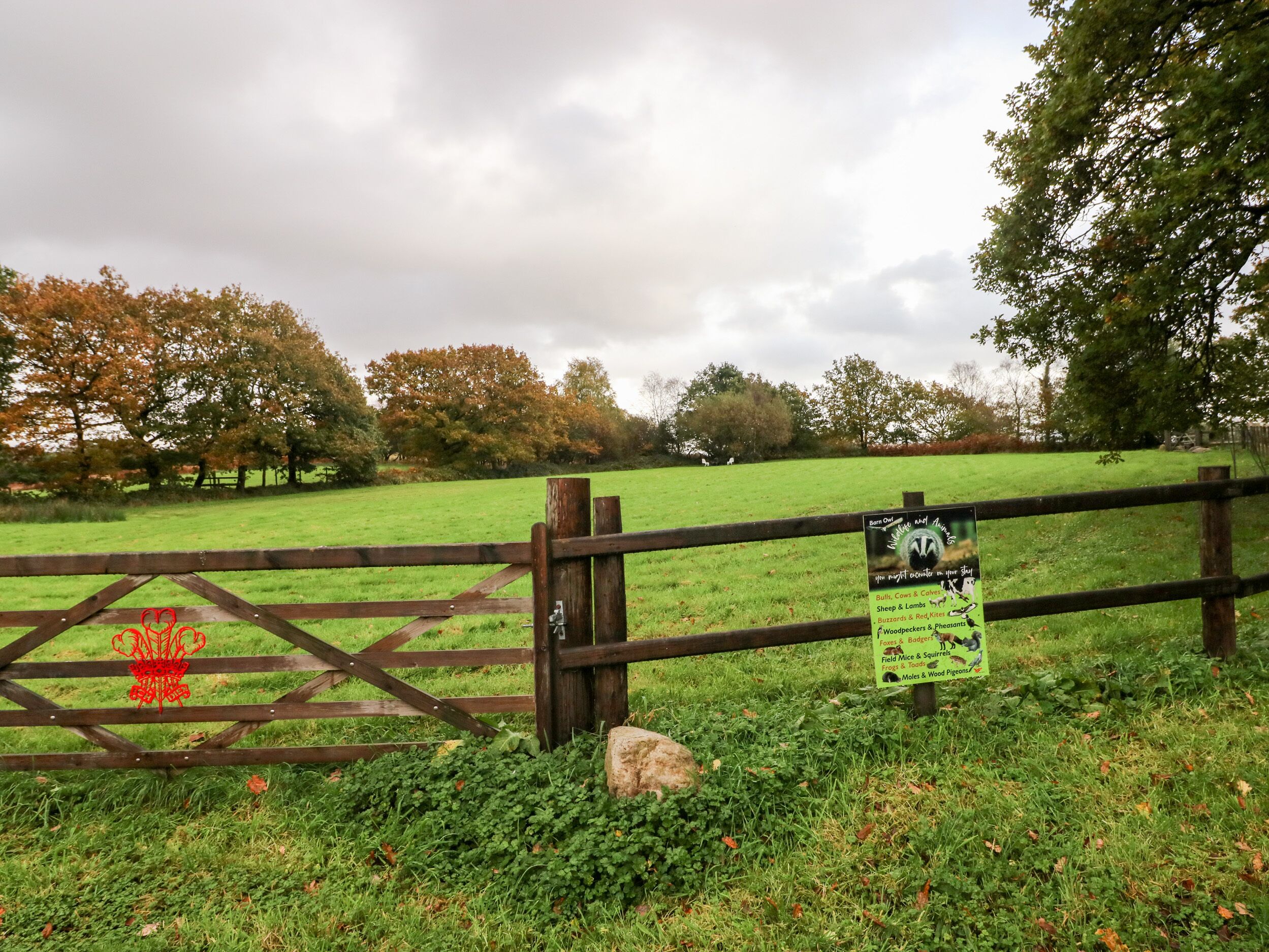 A wooden gate with a sign listing animals available for viewing.