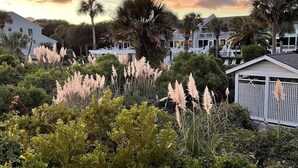 Paisatge costaner amb un sol de ponent, amb vegetació diversa i una fila de cases de platja.