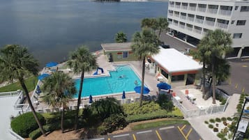 Aerial view of waterfront property featuring pool, palm-lined grounds, and convenient bay access for water activities.