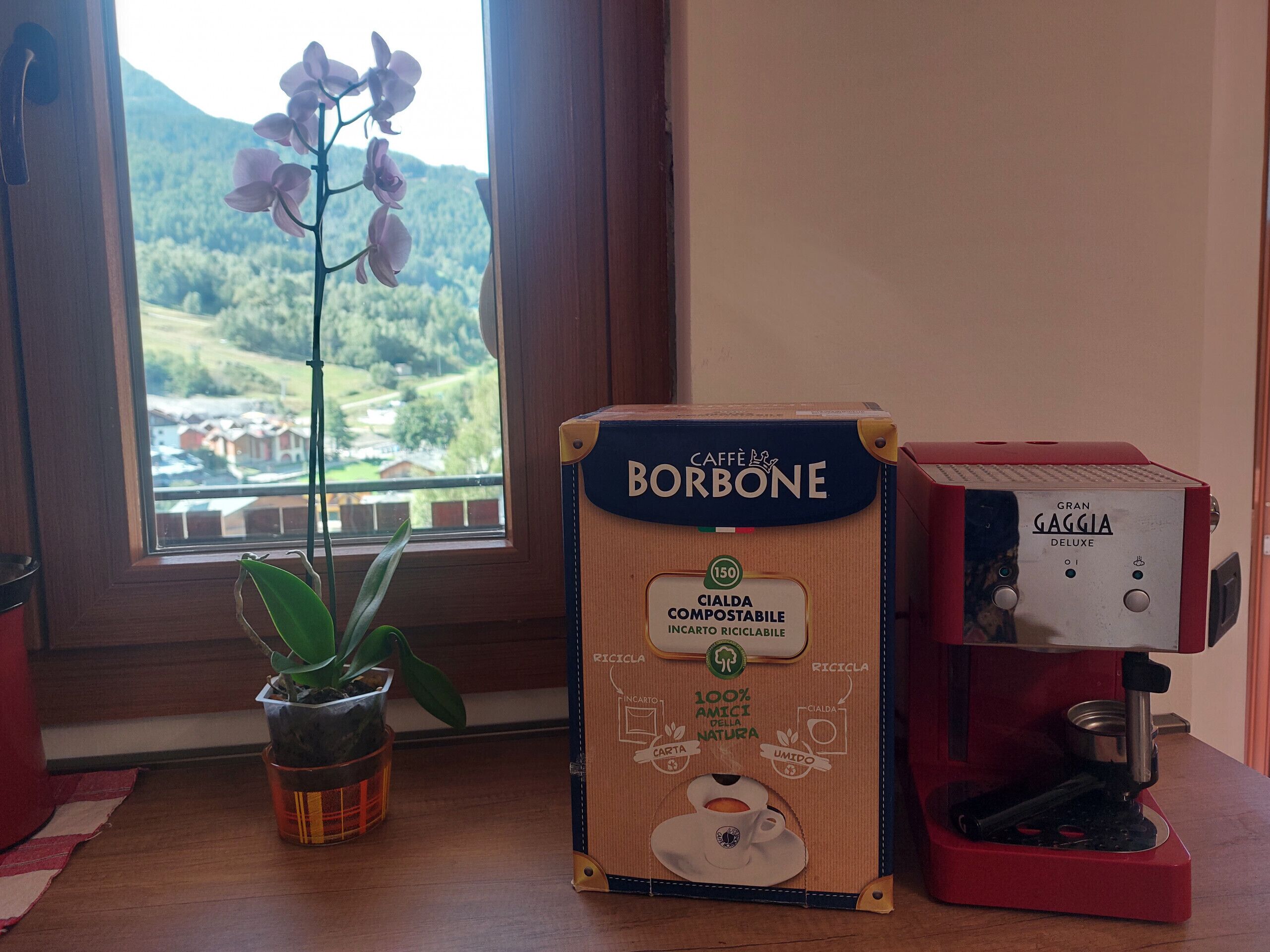 Une machine à café, une boîte de capsules de café compostables et une orchidée en pot, le tout posé sur une table en bois près d’une fenêtre.
