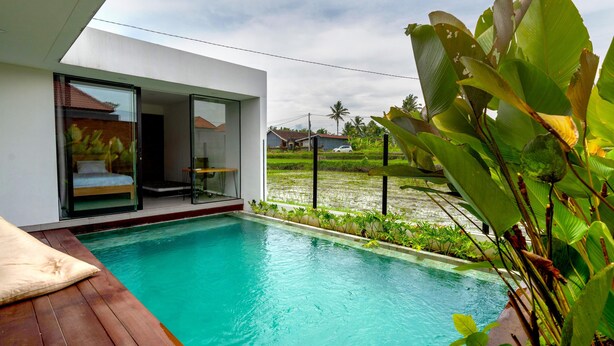 Un área de piscina moderna con una terraza de madera, un ventanal que da a una habitación y vistas a un campo de arroz al fondo.