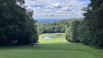 A golf course with a pond, surrounded by dense trees and a clear sky.