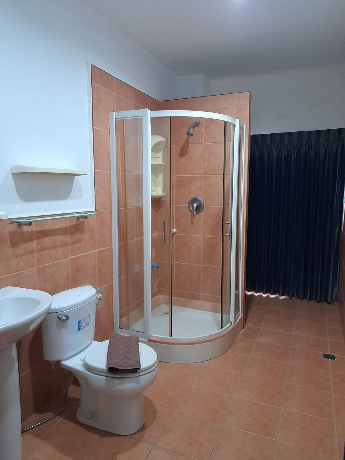 A bathroom with a toilet, a sink, and a glass-enclosed shower.