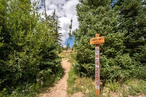 A wooden trail sign with symbols indicating hiking, camping, and picnic areas.