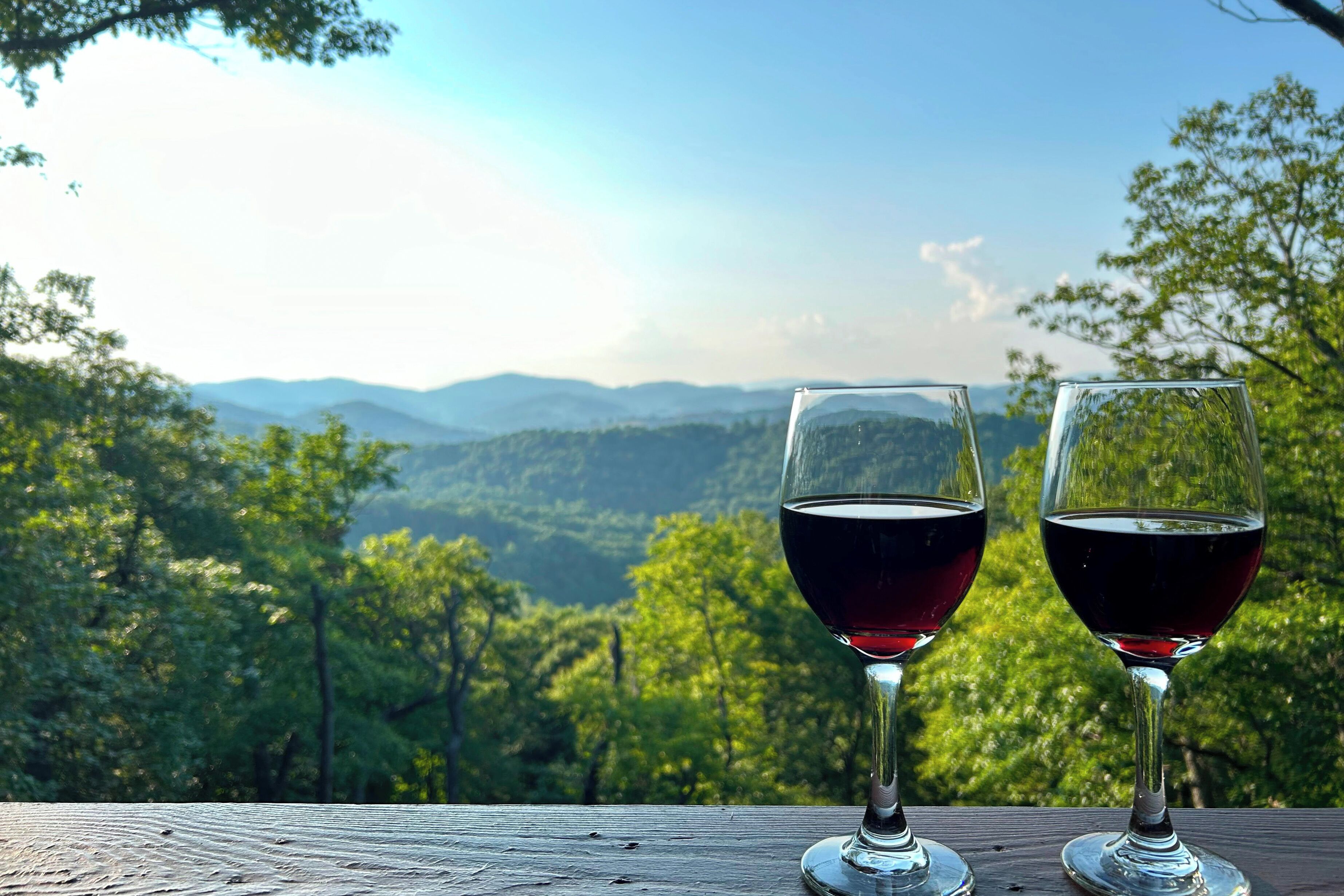 Deux verres à vin sont posés sur une surface en bois, avec une vue panoramique sur les montagnes en arrière-plan.