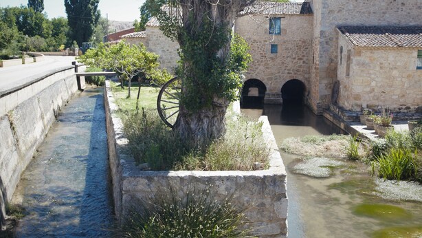 A narrow water channel with a tree and a wheel, surrounded by stone buildings with arched doorways.