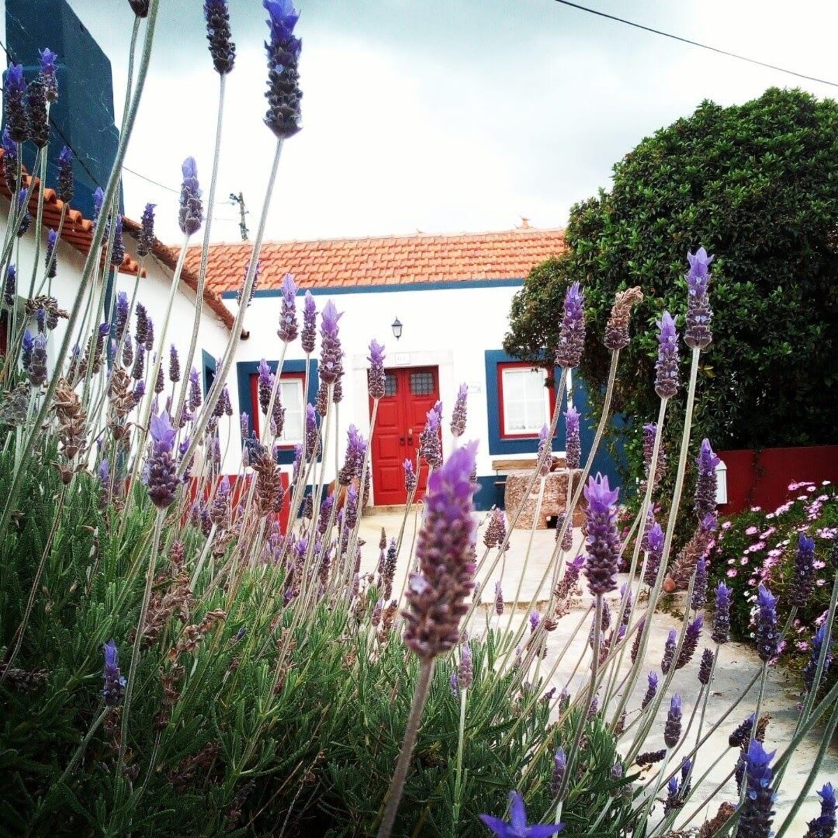 Image de profil de l’hôte