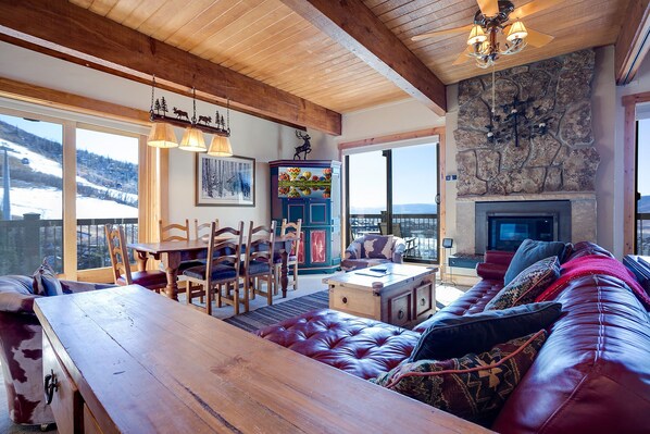 TV, fireplace