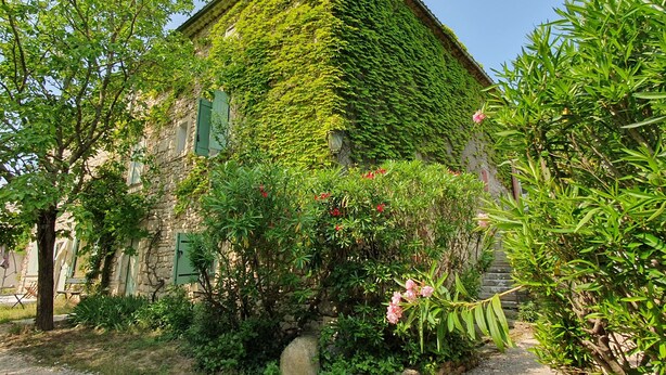 A stone building with a steeply pitched roof, partially covered in ivy, surrounded by lush greenery and flowering plants. - Cottage for 4 in a small village near Uzès, with garden, pool and airco (AUBUSSARGUES)