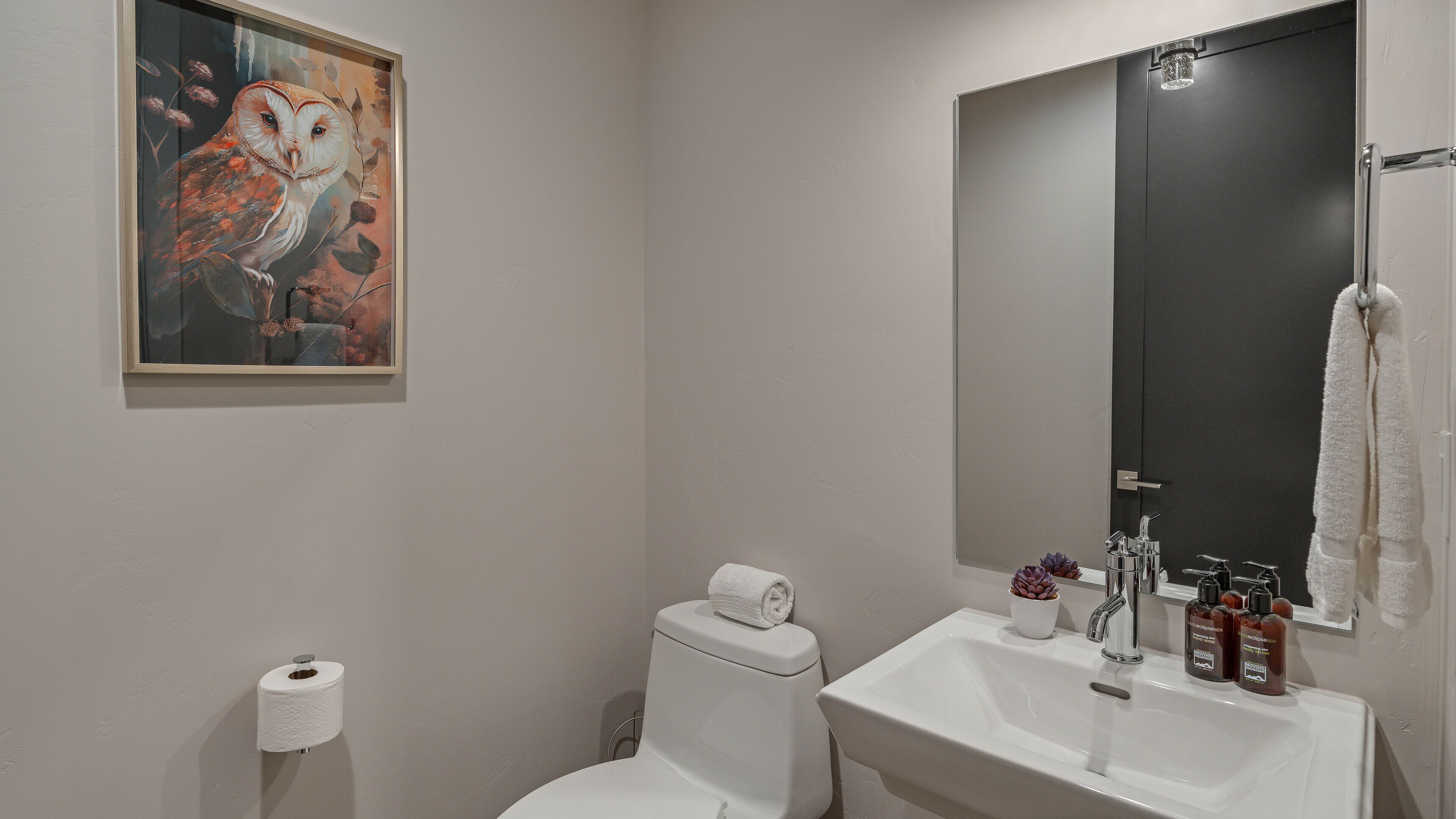 A bathroom with a toilet, sink, and a painting of an owl.