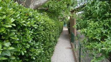 Área da propriedade