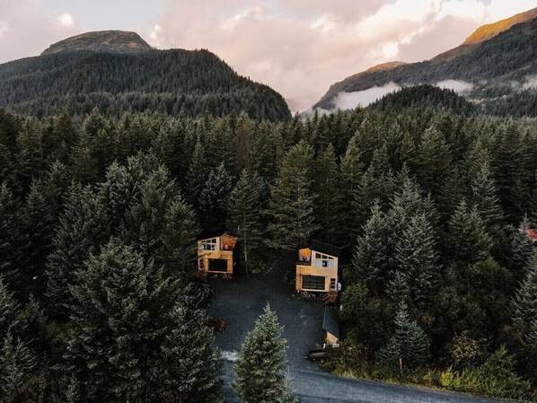Two cabins in a forested area with a road leading to them.