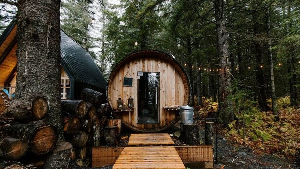A rustic wooden cabin with a circular door, surrounded by trees and logs. - Salted Roots Purple Door Cottage with Ocean Views (Seward)