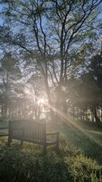 Un banco en un parque, con árboles y luz del sol filtrándose.