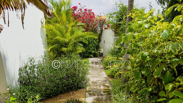 A garden pathway leading to a white building, surrounded by lush greenery and flowering plants. - L'oasis du quai (Saint-François)