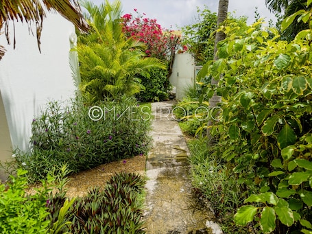 Área da propriedade. L'oasis du quai