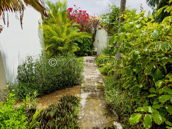 Property grounds - L'oasis du quai (Saint-François)