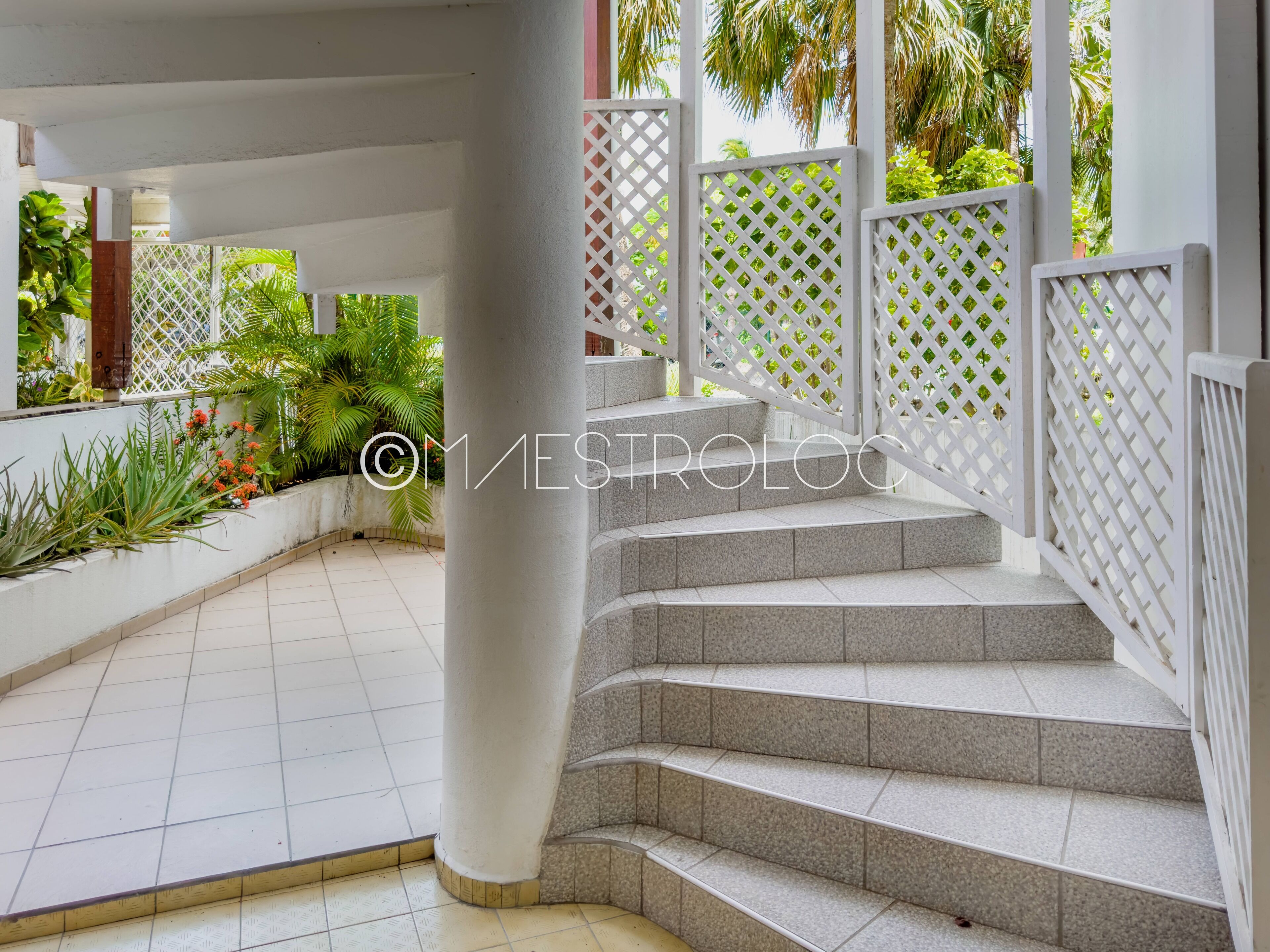 A set of outdoor stairs with white railings, surrounded by greenery and a tiled floor.