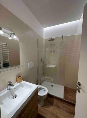 Shower, hair dryer, bidet, towels