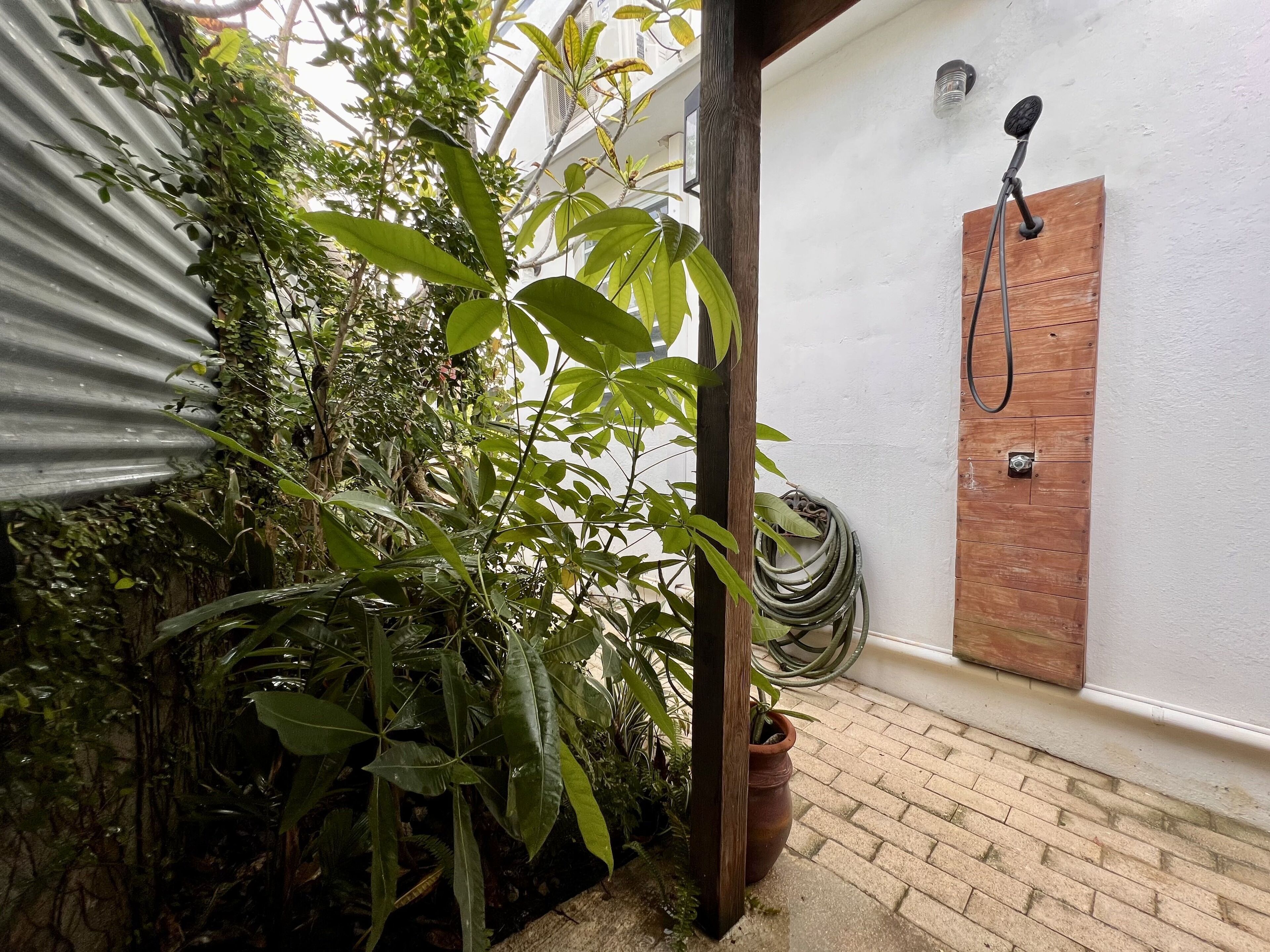 A small, enclosed outdoor area with a wooden door, a shower, and various plants.