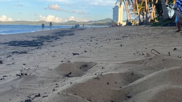 A beach with sand, palm trees, and a distant view of the ocean.