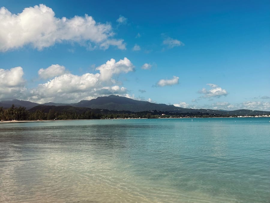 Plage à proximité, planche à voile, surf