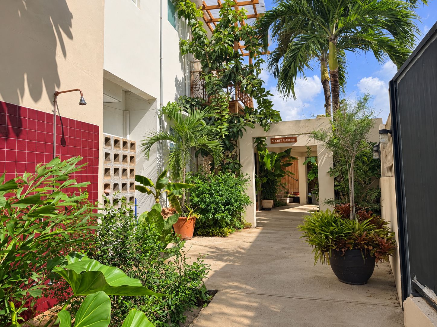 Un patio con un sendero que lleva a la entrada de un edificio, rodeado de abundante vegetación y plantas en macetas.