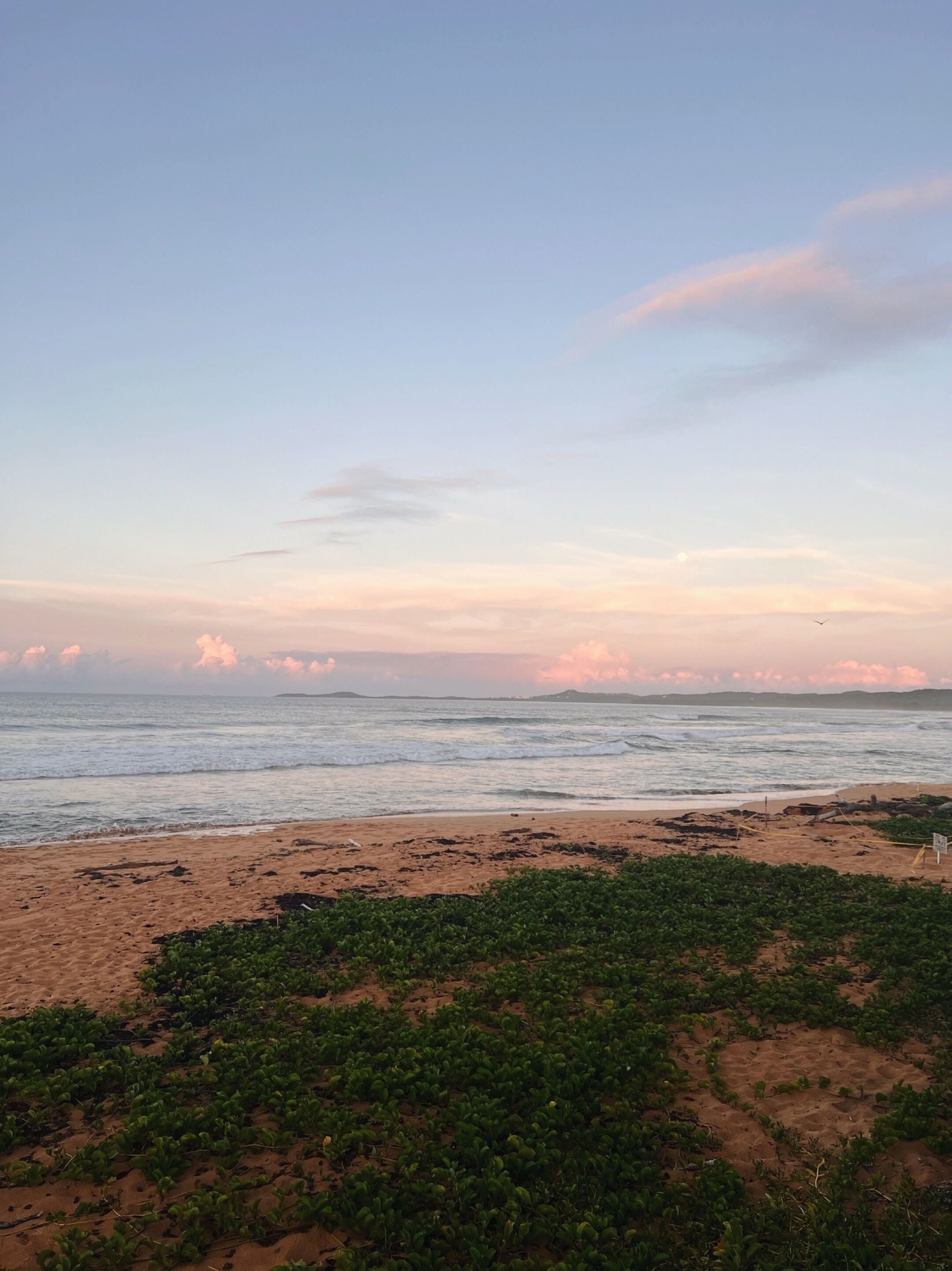 A beach with waves, a clear sky, and distant land.