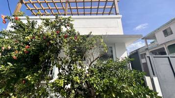 Un edificio blanco con una pérgola de madera y abundante follaje verde.