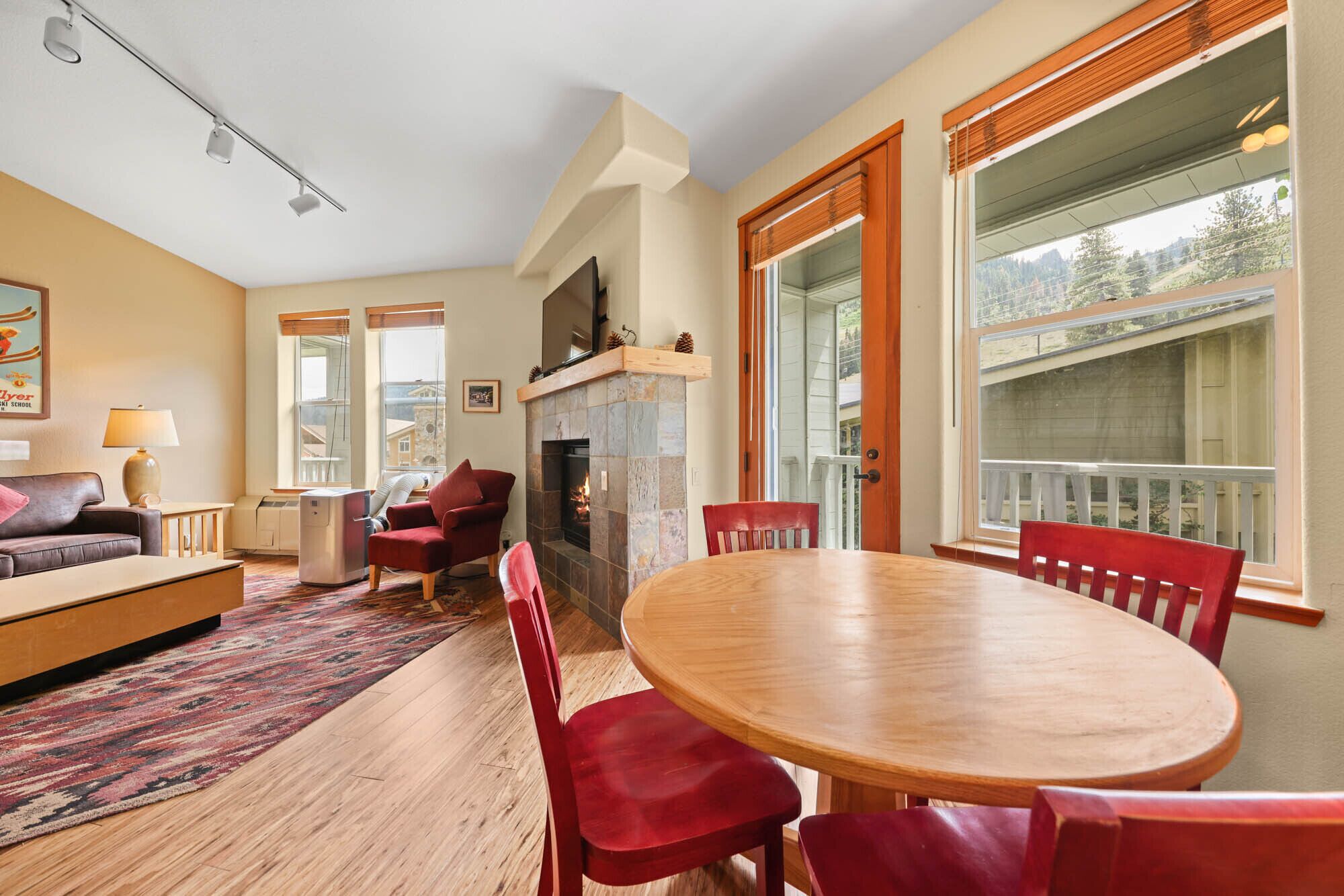 テレビ、暖炉、DVD プレーヤー、卓球台