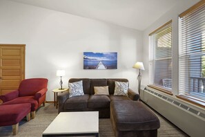 Una televisión, una chimenea, un reproductor de DVD