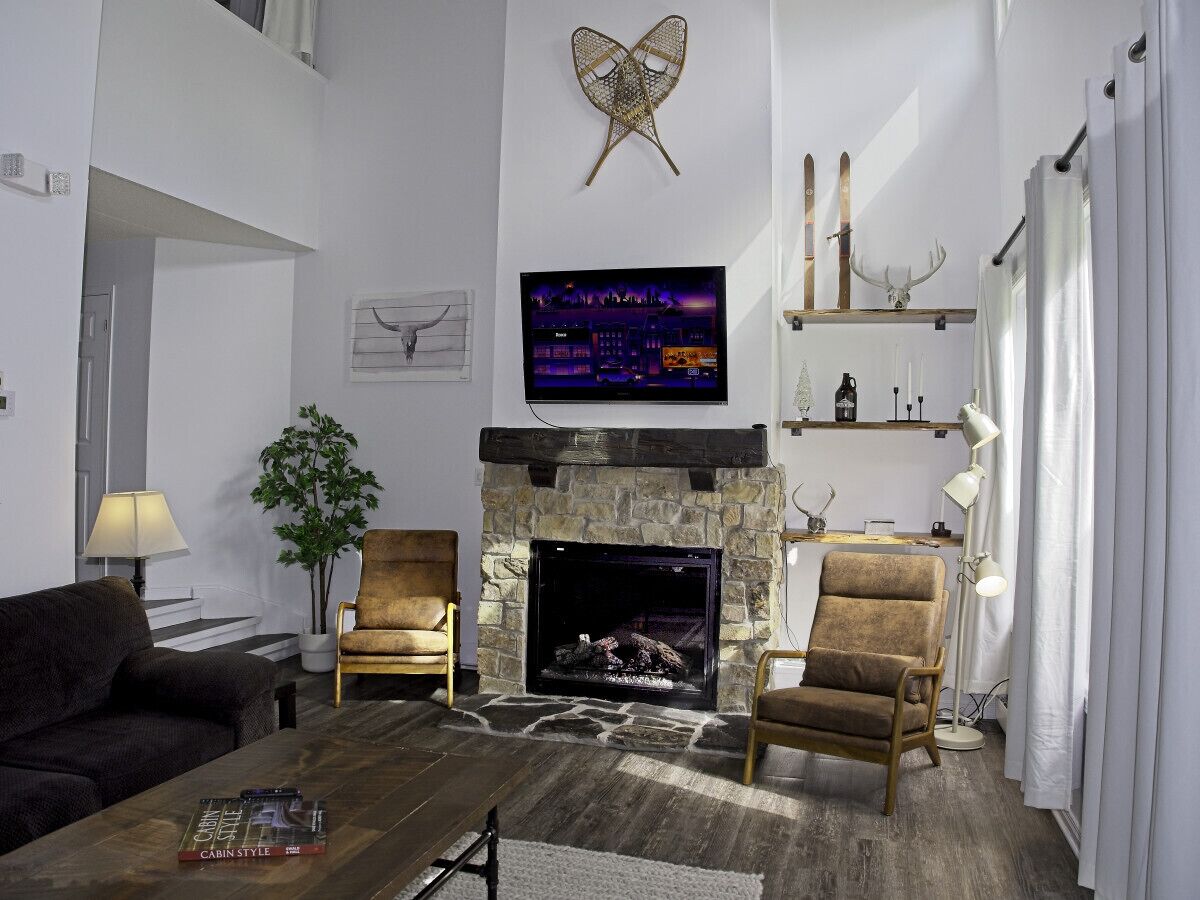 电视、壁炉、电子游戏、立体声音响