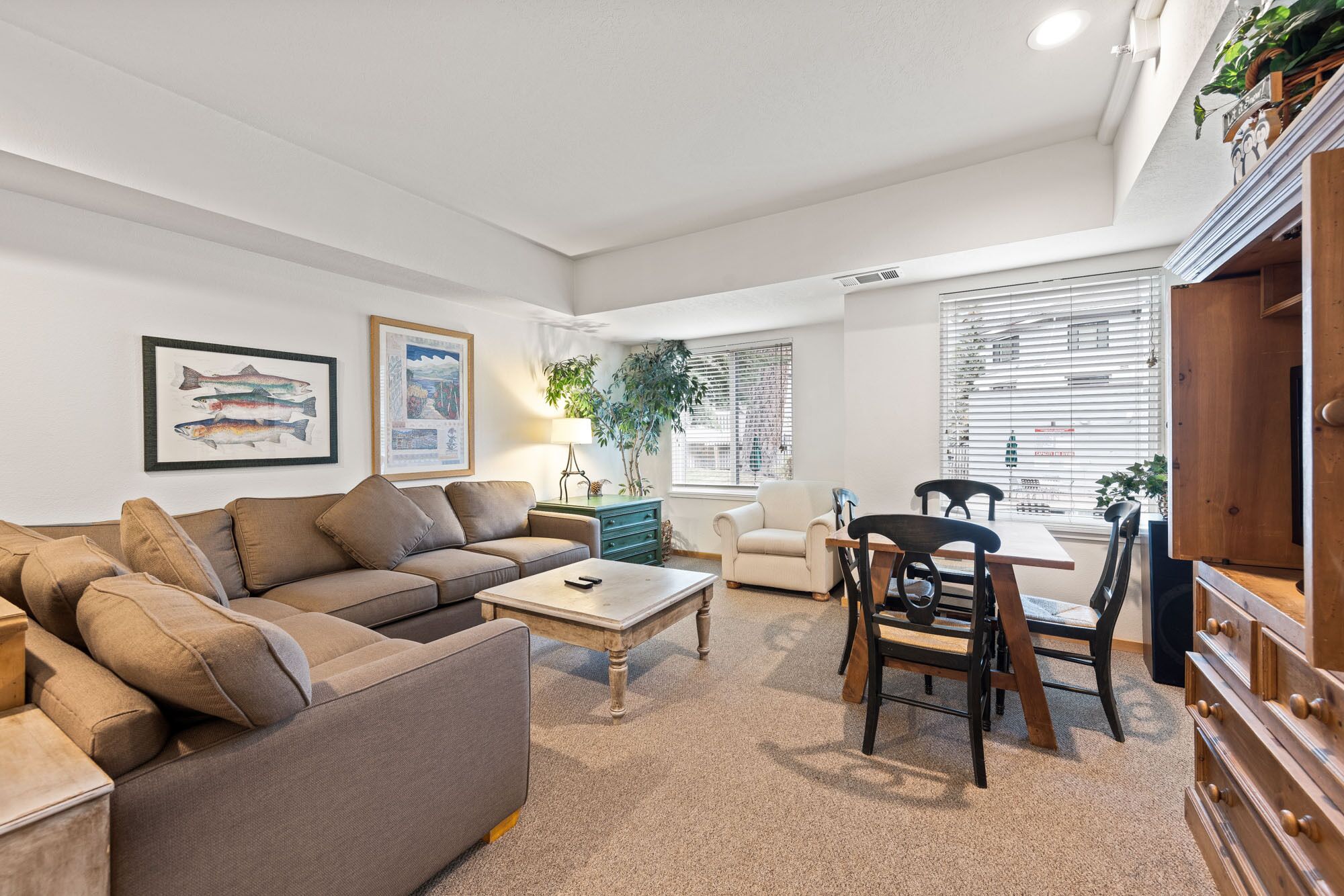 Televisio, DVD-soitin, pöytätennispöytä