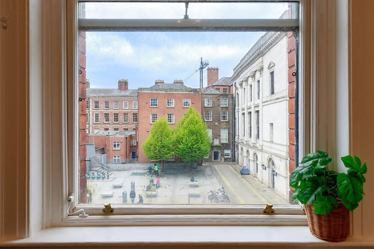 A view from a window overlooking a street with buildings, a tree, and a potted plant.