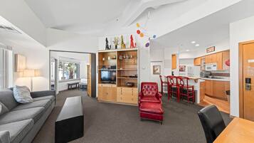 电视、DVD 播放器、乒乓球