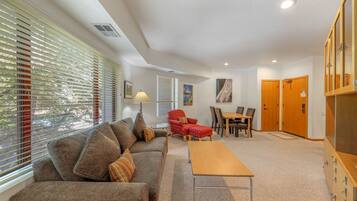 电视、DVD 播放器、乒乓球