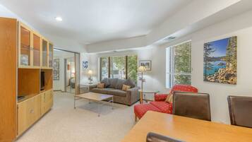 电视、DVD 播放器、乒乓球