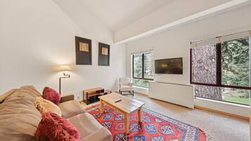 TV, DVD player, table tennis