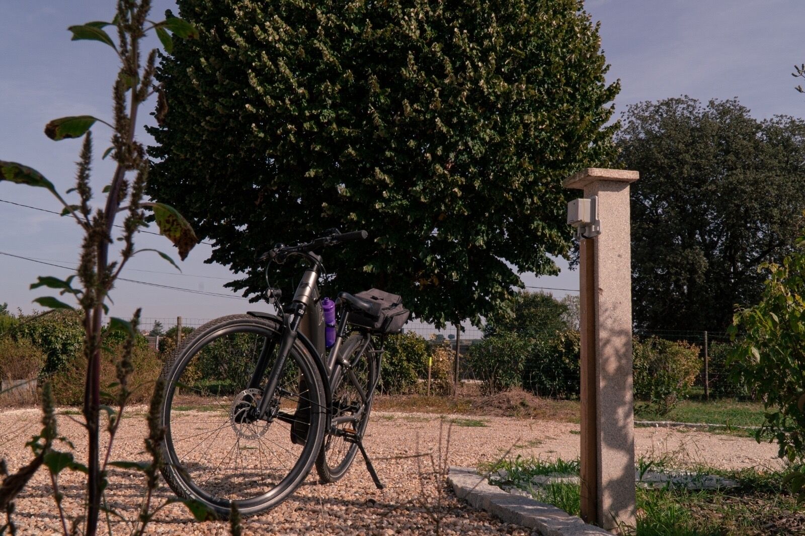 En cykel parkeret under et træ, en stenstolpe og en grussti.