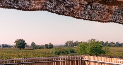 GĂźte de Charme, vue sur Vignoble