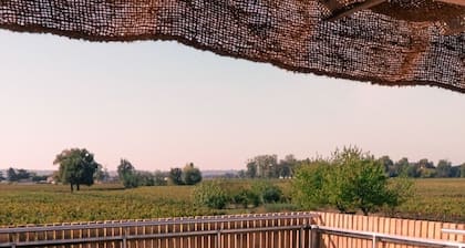 Gîte de Charme, vue sur Vignoble