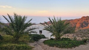 Paesaggio costiero con un edificio che presenta una finestra e una porta, immerso nel verde e su terreno roccioso.