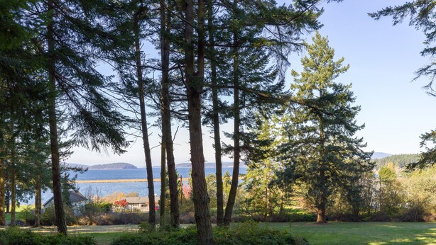 Un espace extérieur paisible, avec de grands arbres, un champ d’herbe et une vue sur une étendue d’eau au loin.